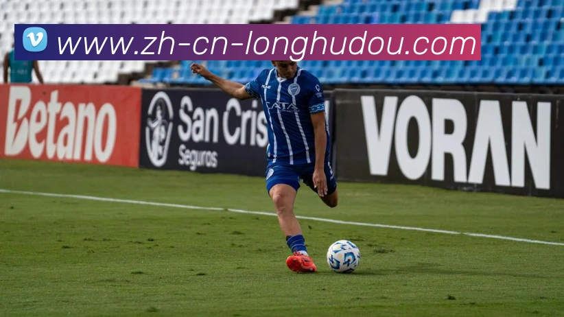 龙虎斗平台生态图